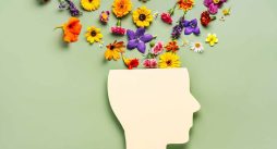 Como Praticar a Gratidão Diária e Promover o Bem-estar Emocional