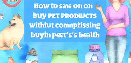 Como economizar na compra de produtos para pets sem comprometer a saúde do seu animal